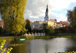 Detektyw Kobieta Wolsztyn